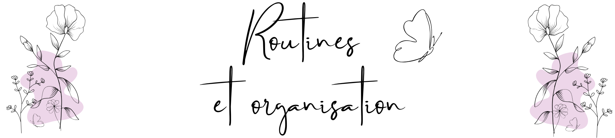 Routines & Organisation